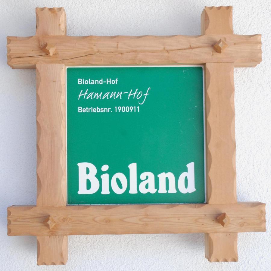 Sarentino Biohof Hamannヴィラ エクステリア 写真