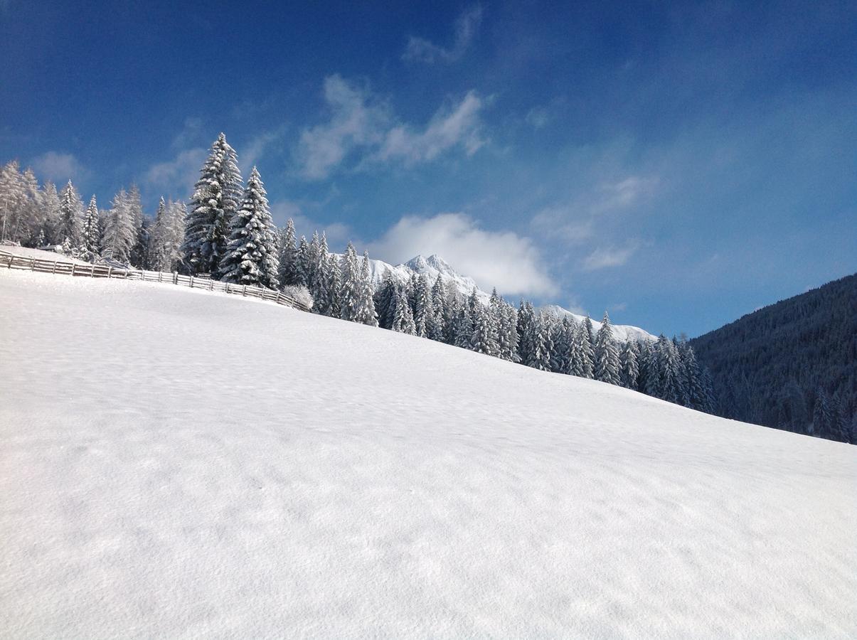 Sarentino Biohof Hamannヴィラ エクステリア 写真